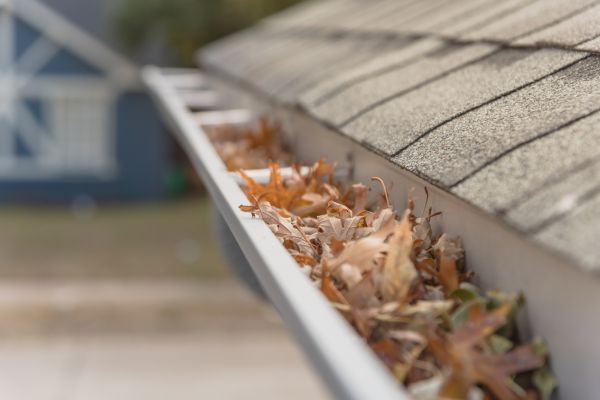 Leaf Barrier Installation in St Louis